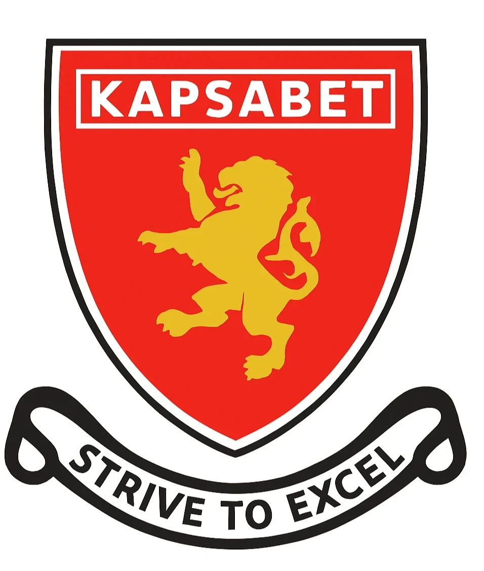 Kapsabet Boys logo